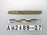 藏品(磨製石針)的圖片